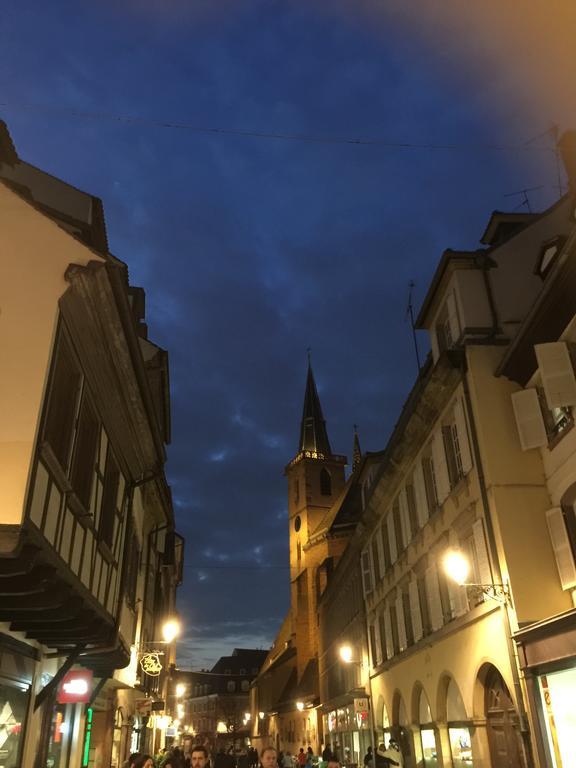 La Cour Des Cordonniers, Centre Cathedrale Petite France Apartment Strasbourg Luaran gambar