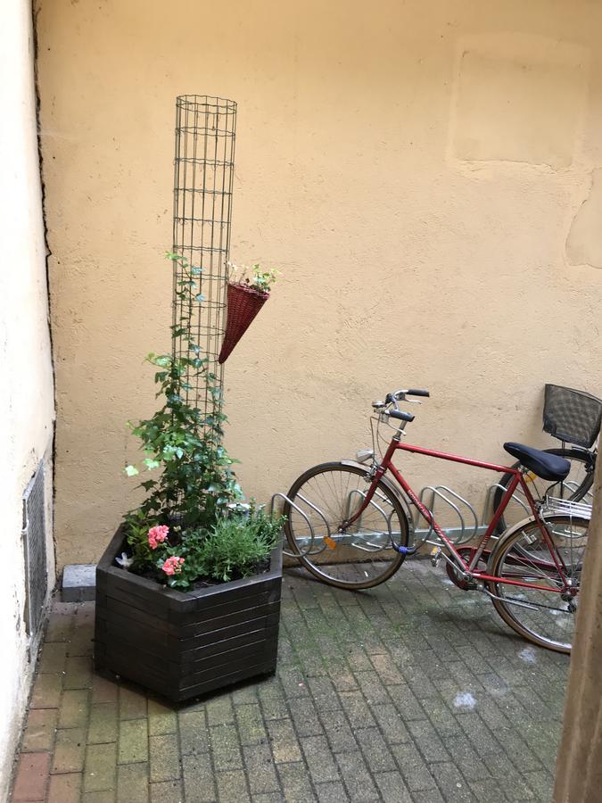 La Cour Des Cordonniers, Centre Cathedrale Petite France Apartment Strasbourg Luaran gambar